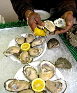 Oysters Freshly Prepared