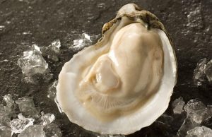 The Perfect Chesapeake Bay Oyster - Agreed?